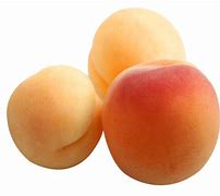 Image result for Apricot PNG