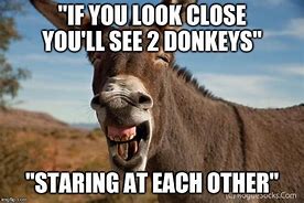 Image result for Donkey Meme