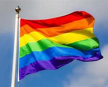Image result for What Does LGBT Mean