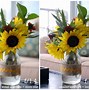 Image result for Depth of Field Portrait Photography