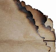 Image result for Burned Old Paper Backround Crumbled