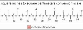 Image result for Square Centimeter Ruler