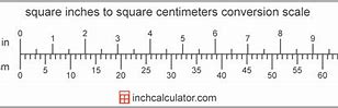 Image result for 930 Square Centimeters Compared to Human