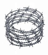 Image result for Military Barb Wire