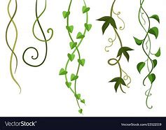 Image result for Tree Vine Vector Patterns