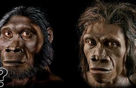 Image result for Ape Looking Human