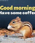 Image result for Good Morning All Funny Memes
