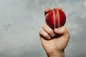 Image result for Cricket Ball Seam
