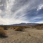 Image result for Mojave Desert Wildlife