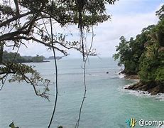 Image result for Playa De Manuel Antonio Costa Rica