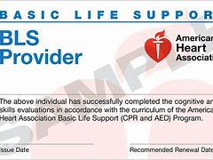 Image result for Basic Life Support AHA