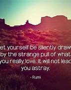 Image result for Rumi Memes