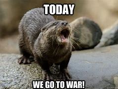 Image result for Otter Cool Meme