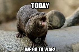 Image result for Otter Programming Memes