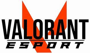 Image result for Valorant eSports Logo