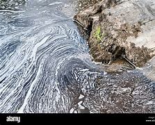 Image result for River Teifi Pollution