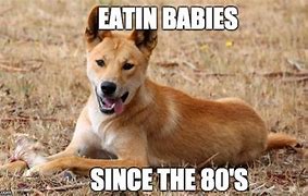 Image result for Eat the Baby Meme