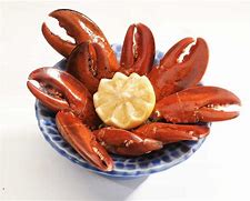 Image result for Lobster Claw Family