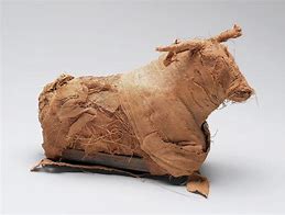 Image result for Animal Mummy