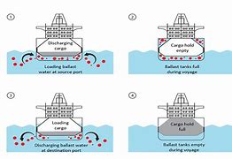 Image result for Ballast Water System
