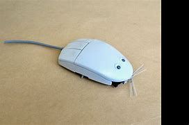 Image result for Robot Computer Mouse