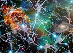 Image result for Neuron and Universe
