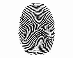 Image result for Electronic Fingerprint Clip Art