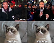 Image result for News Year's Eve Cat Meme