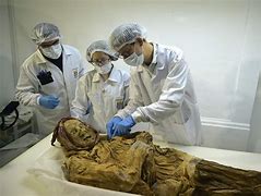 Image result for A Mummified Body