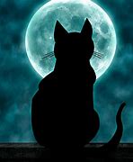 Image result for Cute Moon Cat