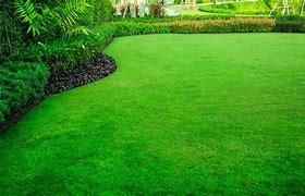 Image result for Just Because the Grass Looks Greener