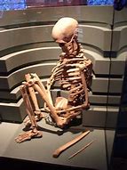 Image result for Oldest Human Skeleton Found