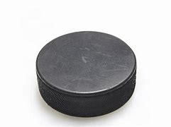 Image result for Ice Hockey Puck