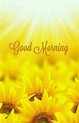 Image result for Sunglower Good Morning
