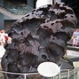 Image result for Largest Meteorite Found On Earth