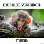 Image result for Monkey Happy Birthday Brother Funny