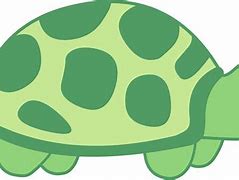 Image result for Baby Turtle Clip Art