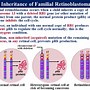 Image result for Gene and Chromosome Mutations