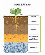 Image result for Soil Layers