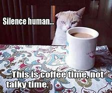 Image result for Cat Coffee Meeting Meme