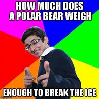 Image result for Polar Bear Meme
