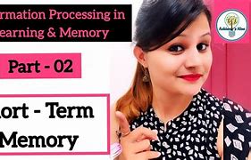 Image result for Working Memory vs Short-Term Memory