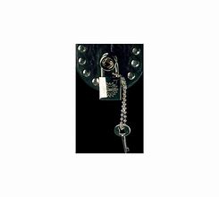 Image result for DiMarzio Key Chain