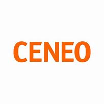 Image result for ceeo