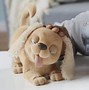 Image result for FurReal Dog Play Foul