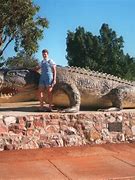 Image result for Giant Crocodile Australia