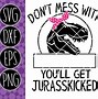 Image result for Don't Mess with Grandmasaurus