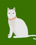 Image result for White Cat Staring Meme