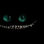 Image result for Scary Cat Background