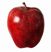 Image result for Different Apple Types Fruit